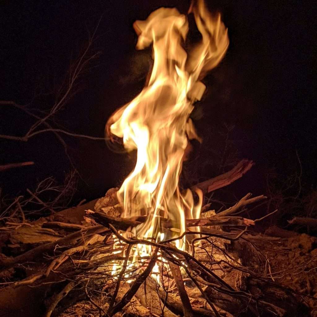 PlayD: Escuela de Supervivencia y Bushcraft en Barcelona