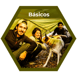 Cursos básicos de supervivencia