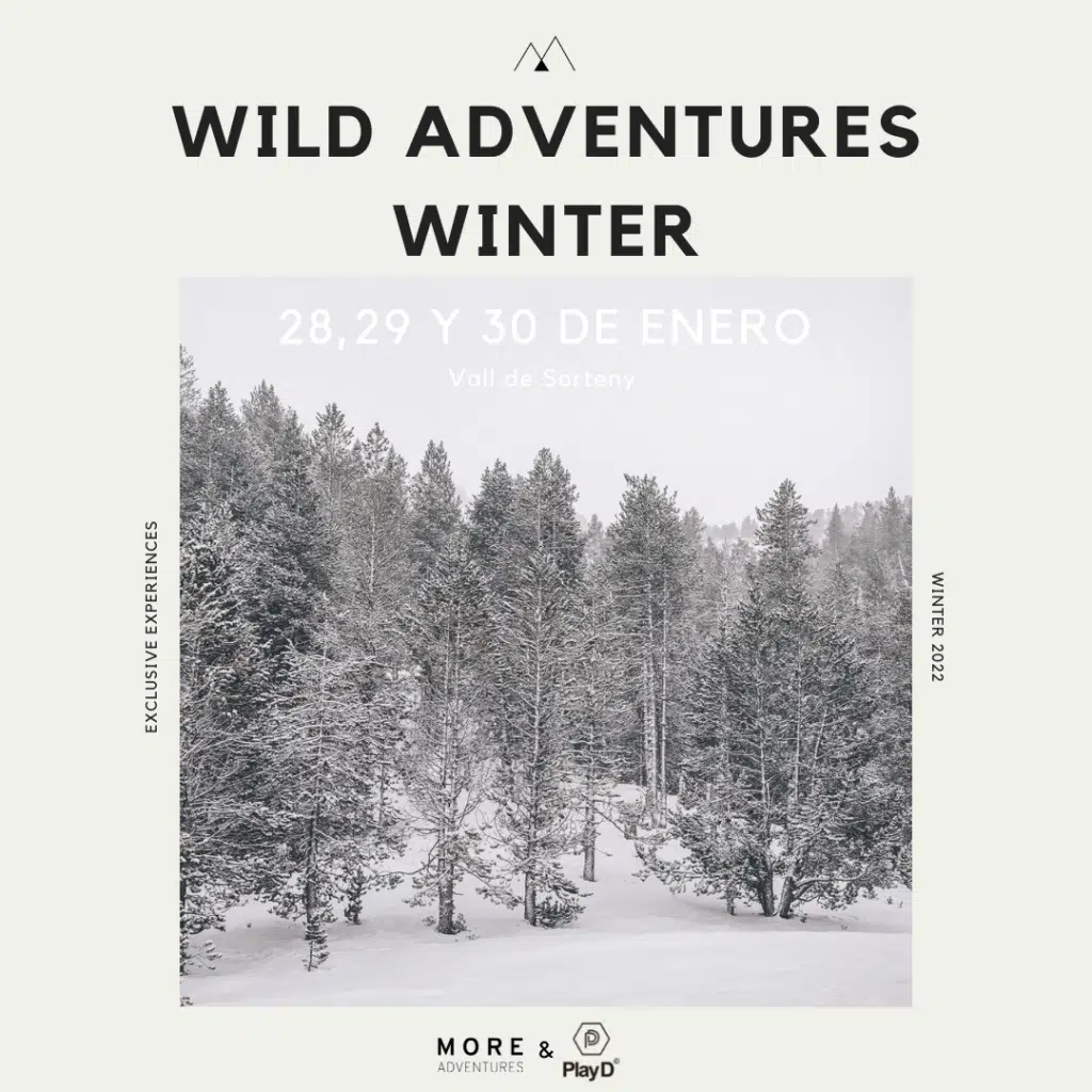 Wild Adventures Winter Post principal